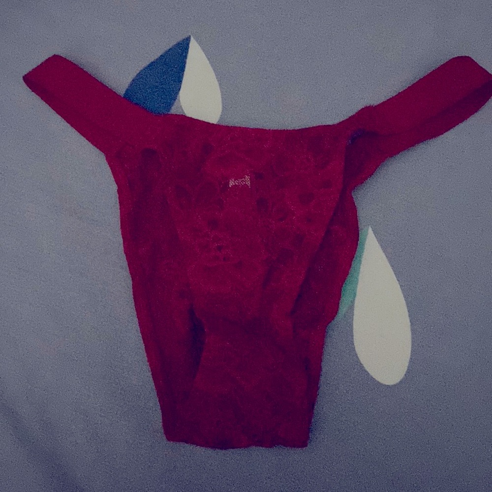 Victoria’s Secret Brazillian/Slip Panty